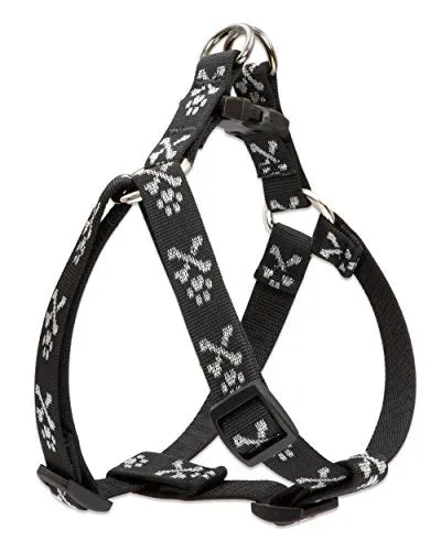Next Product Image